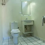 Ig- 